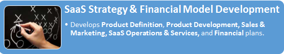 SaaS Strategies and Financial Model Development