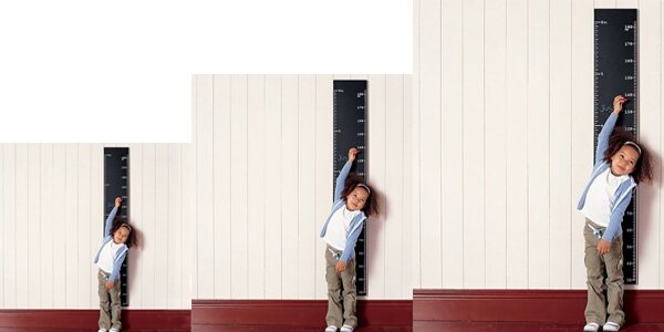 SaaS Companies Grow Faster SaaS Companies Grow Faster