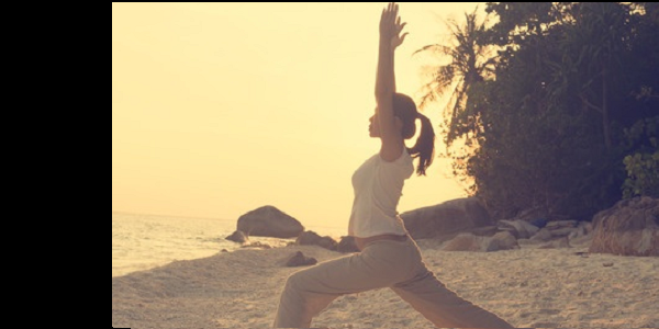 SaaS Companies are More Agile SaaS Companies are More Agile